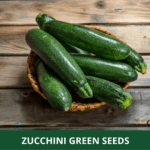 zucchini green (1)