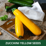 zucchini yellow (1)