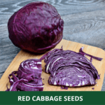 red cabbage (1)