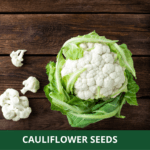 cauliflower (1)