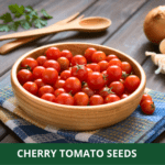 cherry tomato (1)