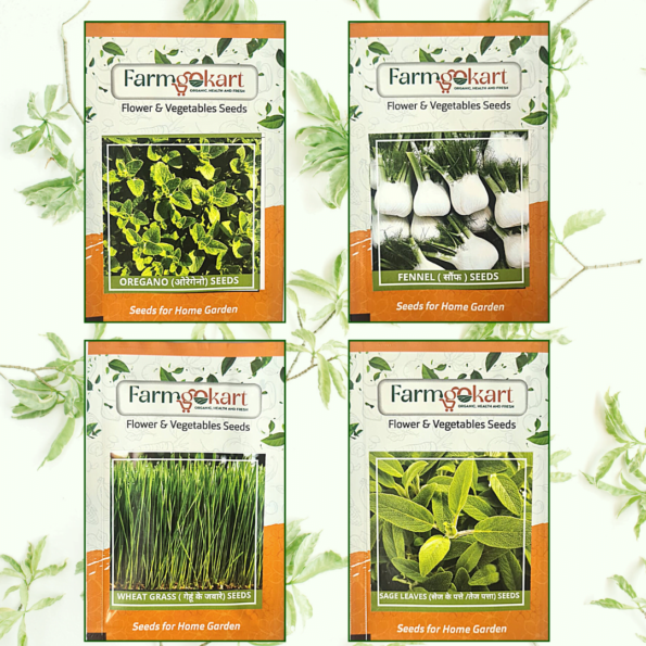 Herbs Seeds