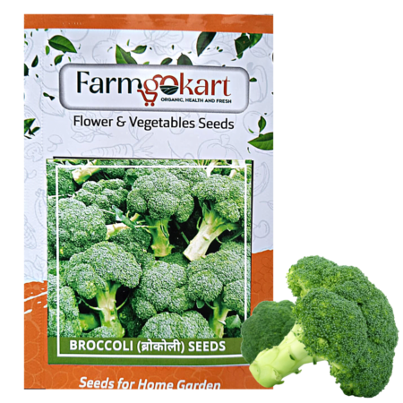 Broccoli Green Seeds