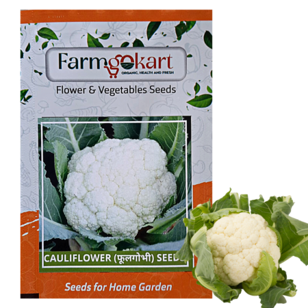 cauliflower seeds