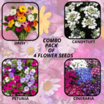 flower combo (45)