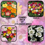 flower combo (48)