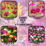 flower combo (49)