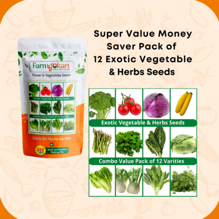 Vegetable Seeds Online