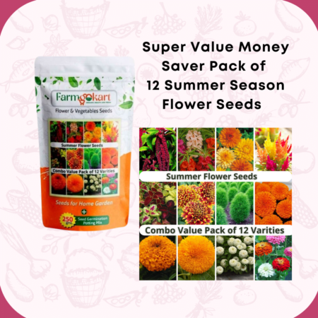 Vegetable Seeds Online