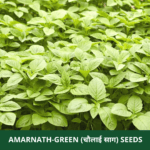 AMARNATH GREE N SINGLE PKT