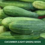 cucumber light green (2)