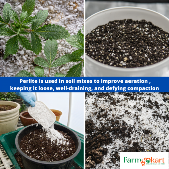 perlite for plants