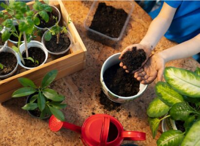 A Seasonal Garden Calendar: Planting and Gardening Tips by Farmgokart